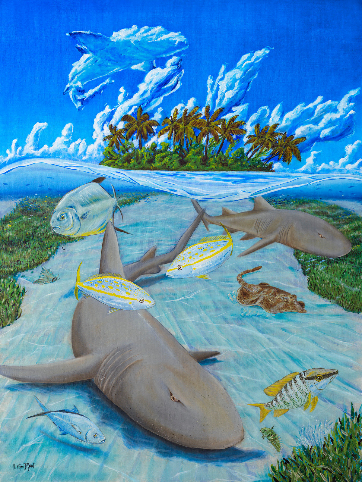 Shark Alley - Limited Edition Print