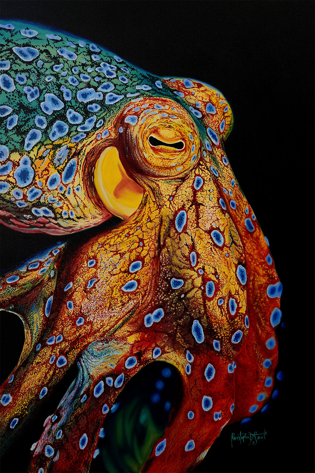 Adventure of SUPIE & GOO アートプリント Sound & Vision - Limited Edition Print – Wave Hugger Elemental