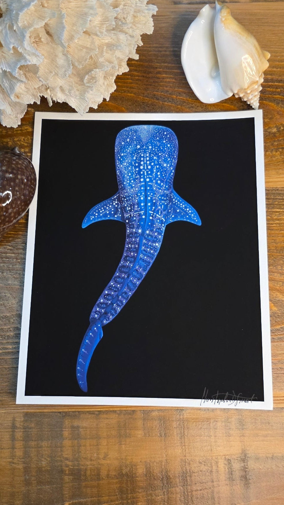 A square art print featuring a blue spotted whale shark on a black background, styled on a wooden surface with seashells around it.