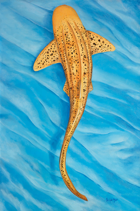 Spotted in Blue - Original Art