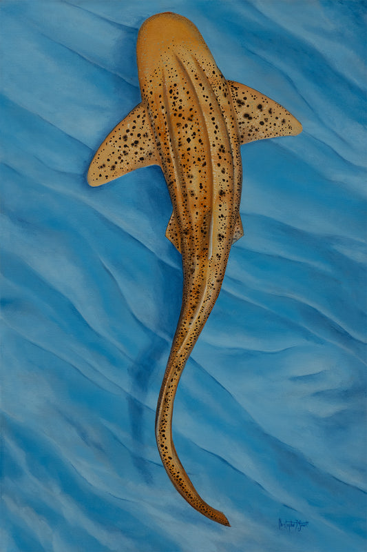 A painted shark artwork shown from above on a blue water-like background. The shark is tan to light brown with dark speckles, and the scene appears to be the product itself rather than a photo of a physical object in a room.
