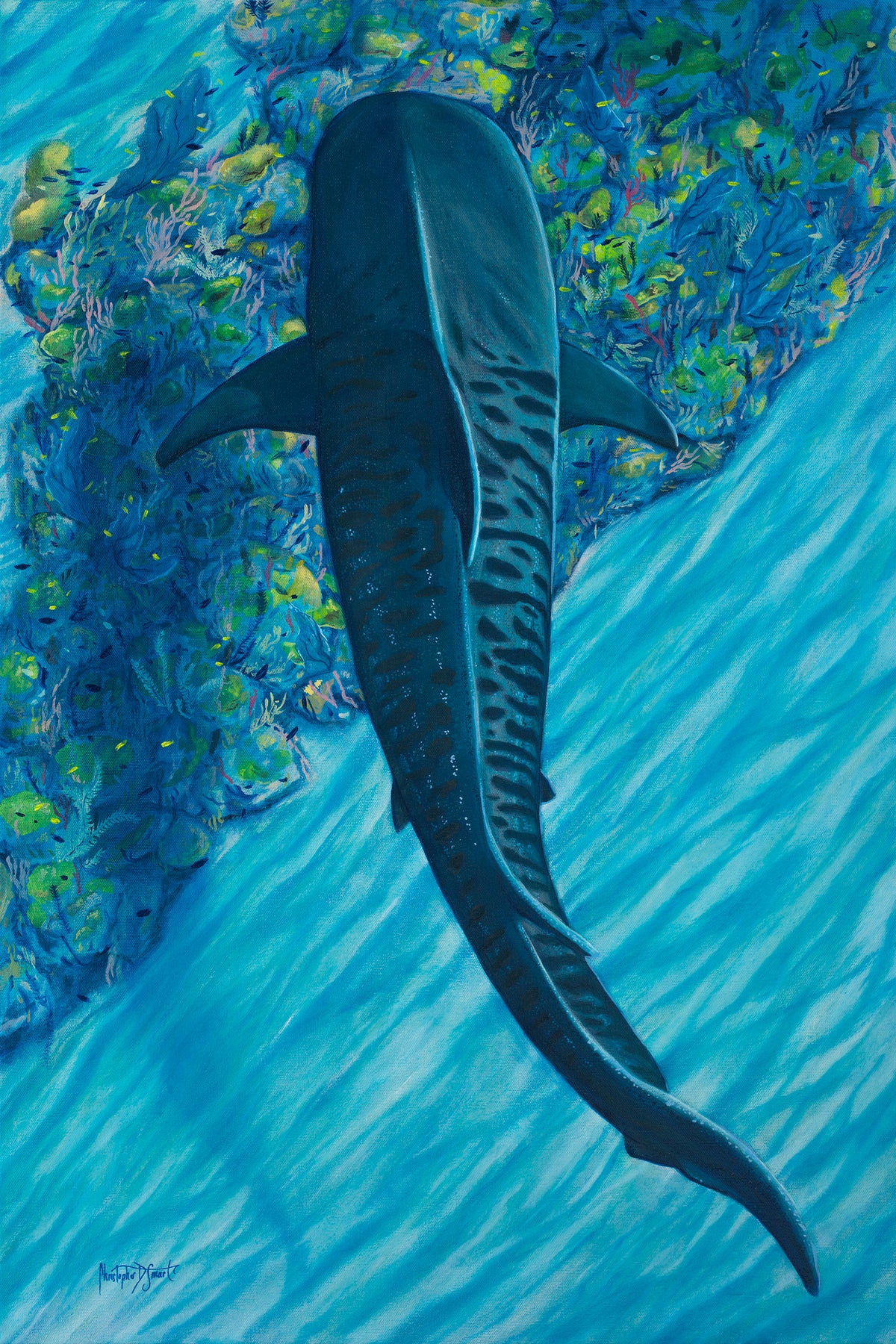 A colorful painting of a tigershark swimming through bright blue ocean water with coral and small fish in the background.